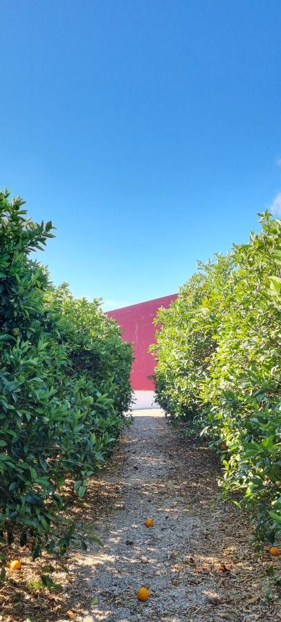 Ferrarias  Quinta Dos I'S - Algarve 빌라 외부 사진